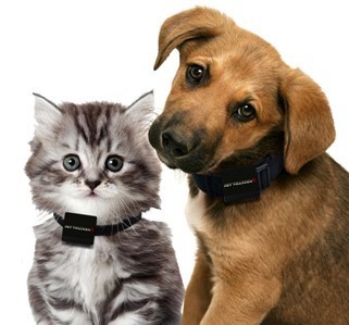 Pet Tracker 03