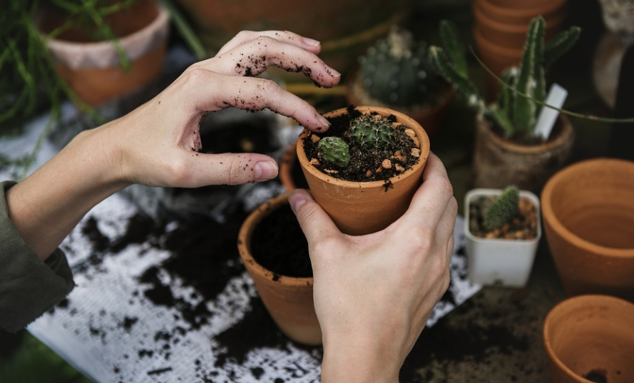 Gardening