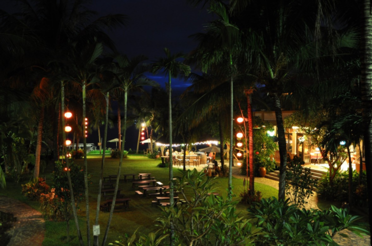 Night Garden